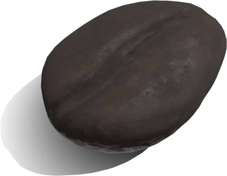 A roasted coffee bean
