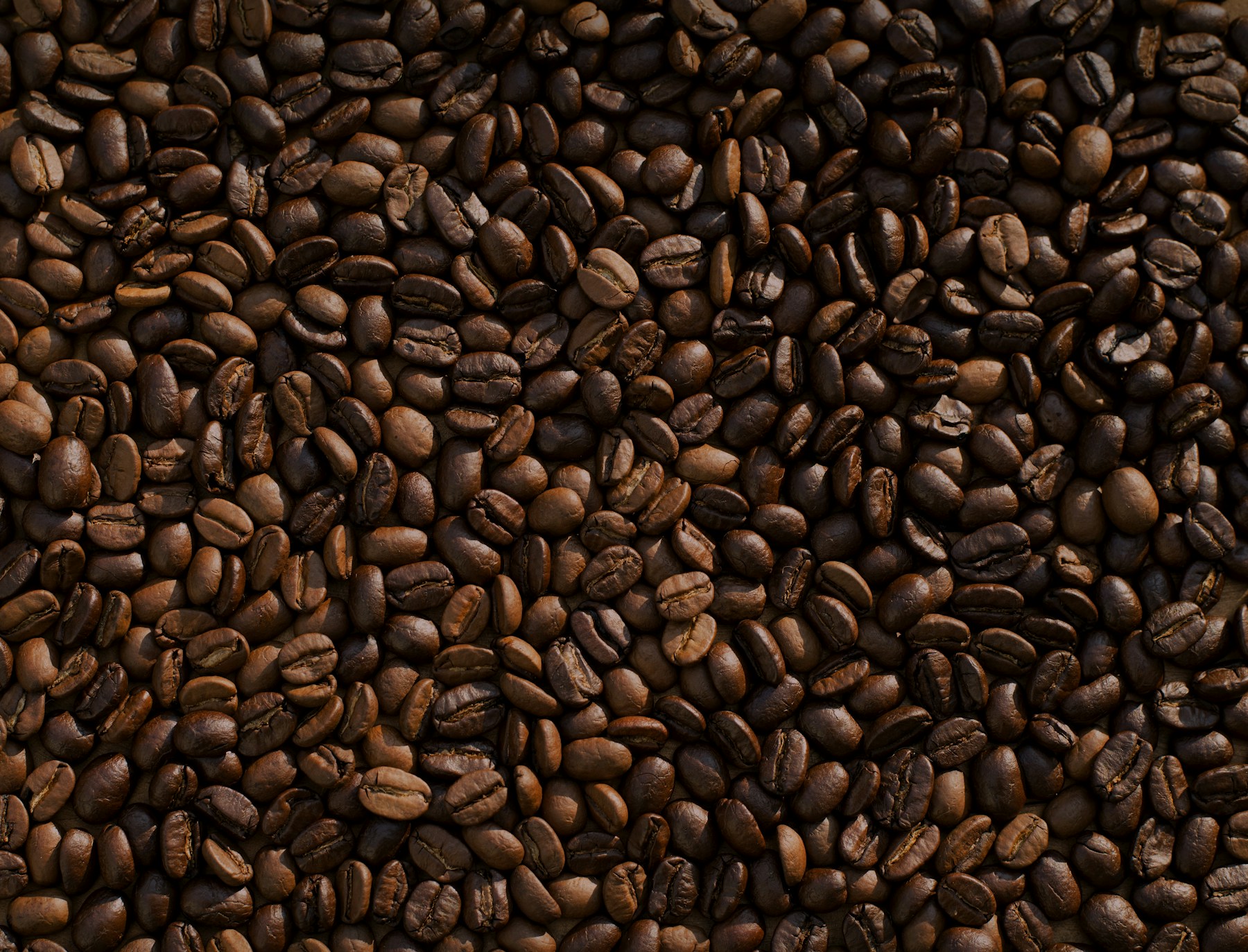 Roasted coffee beans, ready for the next brew