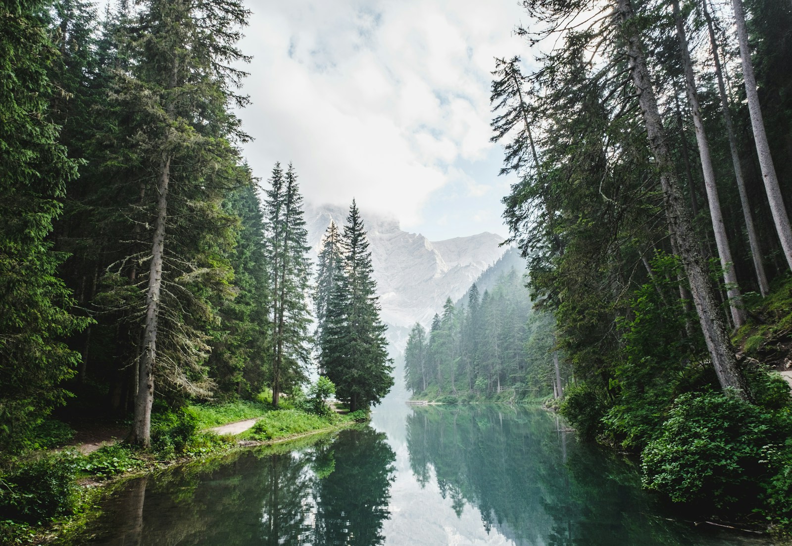 A still lake framed by trees and distant mountains